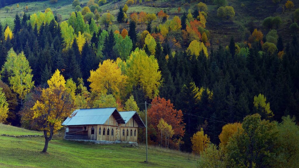 Artvin Gezi Rehberi: Doğanın Kalbinde Keşfedilecek Eşsiz Bir Karadeniz Deneyimi